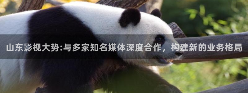 色七七影院在线视频：山东影视大势:与多家知名媒体深度合作，构建新的业务格局
