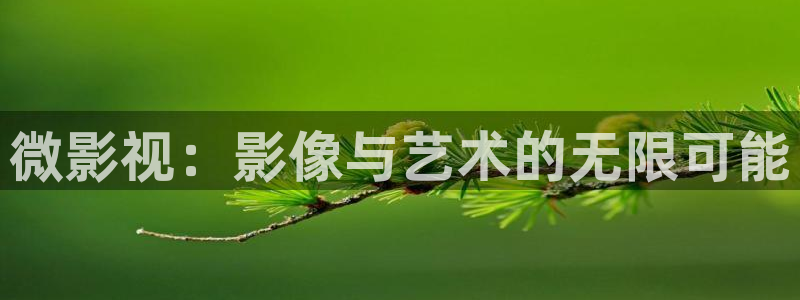 色七七影院综合：微影视：影像与艺术的无限可能